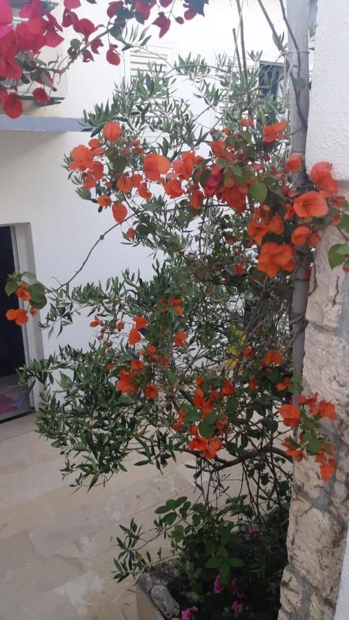 Hvar Deluxe Rooms 赫瓦尔 外观 照片